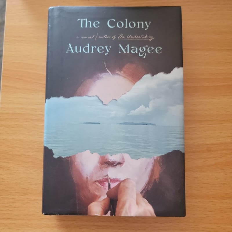 The Colony by Audrey Magee, Hardcover | Pangobooks
