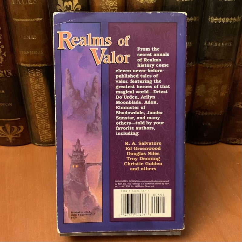 Realms of Valor