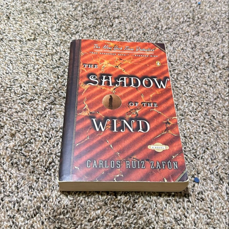 The Shadow of the Wind