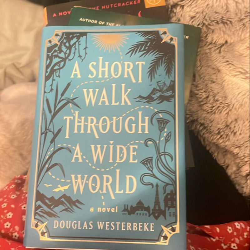 A Short Walk Through a Wide World
