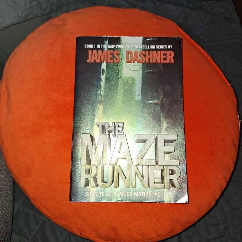 The Maze Runner