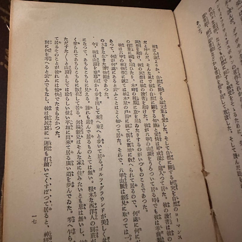 Japanese Vintage Colth Book ~ULTRA RARE~
