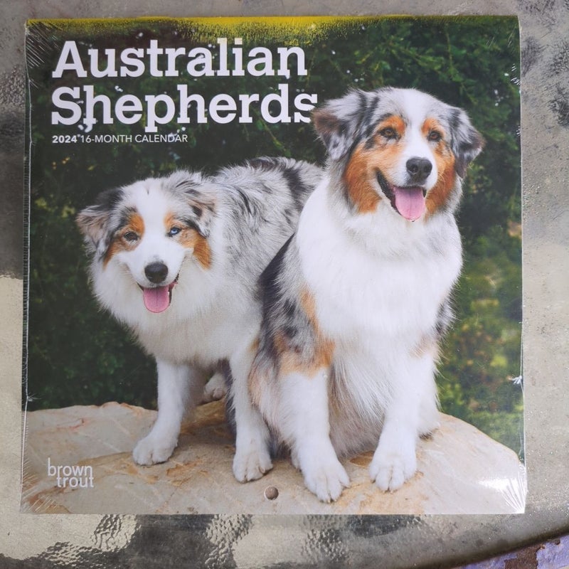 2024 Australian Shepherds Calendar
