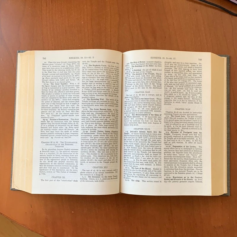 Abingdon Bible Commentary
