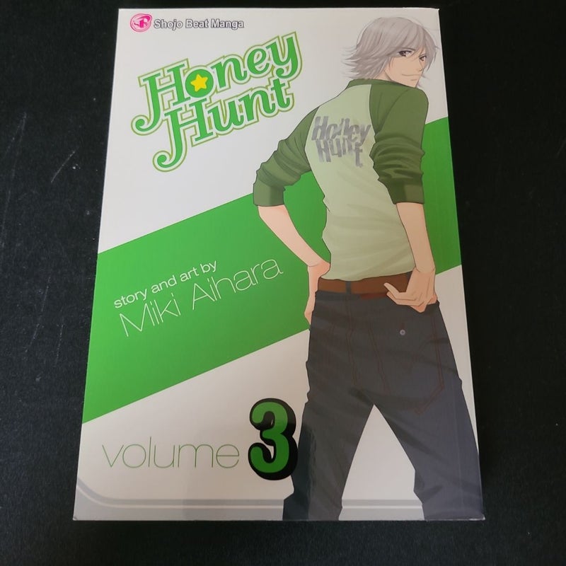 Honey Hunt, Vol. 3