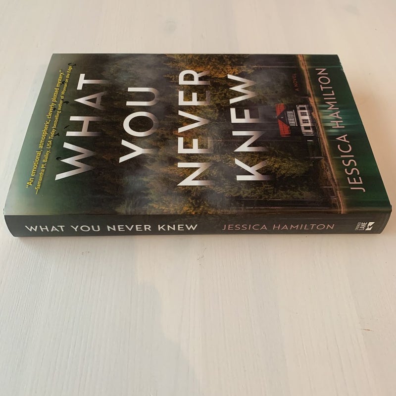  What You Never Knew: A Novel: 9781643856964: Hamilton, Jessica:  Books