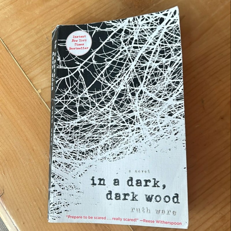 In a Dark, Dark Wood