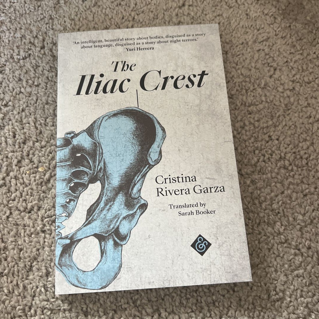 The Iliac Crest