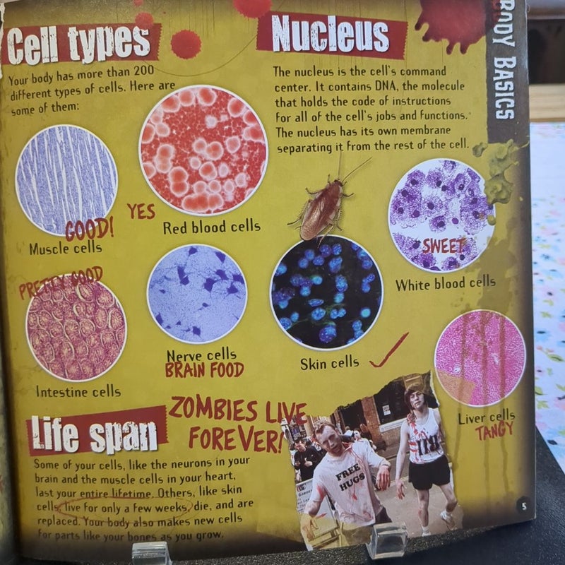 A Zombie's Guide to the Human Body