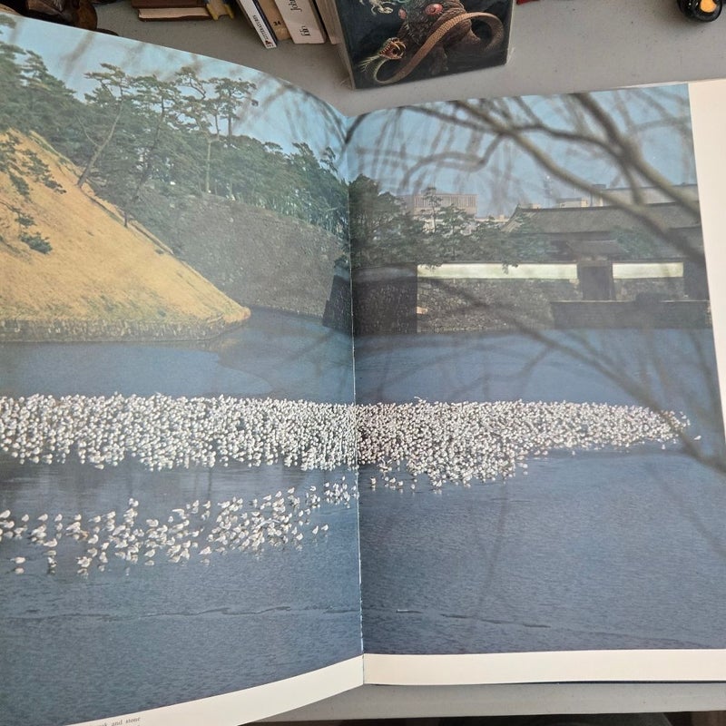 Castles of Japan: Photo Collection (Hardcover)
The Mainichi Newspapers