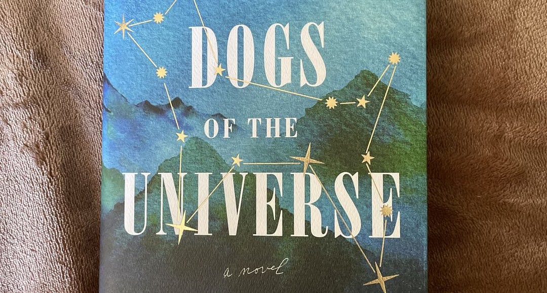 Straw Dogs of the Universe: A Novel [Book]