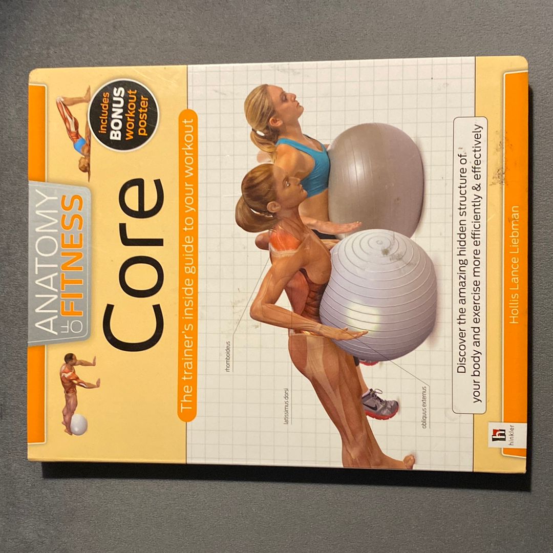 Anatomy of Core Stability