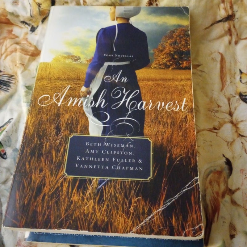 An Amish Harvest