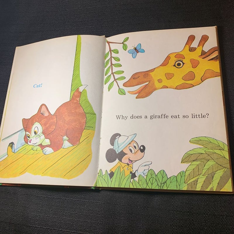 Mickey Mouse Riddle Book