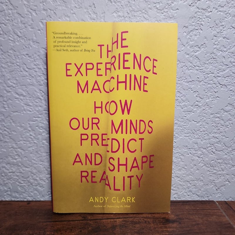 The Experience Machine