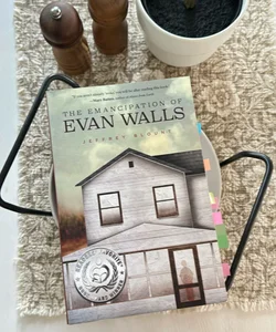 The Emancipation of Evan Walls