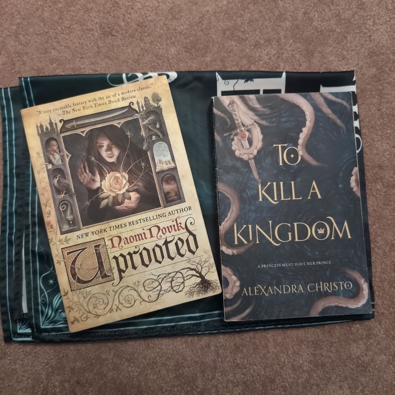 Booktok bundle to kill a kingdom, uprooted book+tapestry