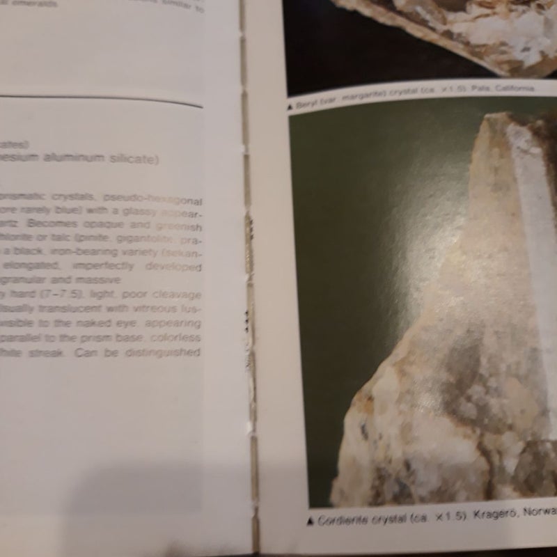 Simon and Schuster's Guide to Rocks and Minerals