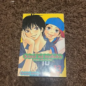 Kimi ni Todoke: from Me to You, Vol. 13