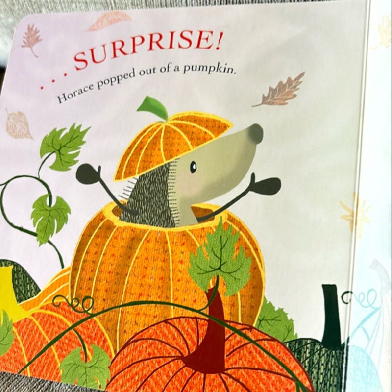 Hedgehugs: Autumn Hide-And-Squeak BOARDBOOK