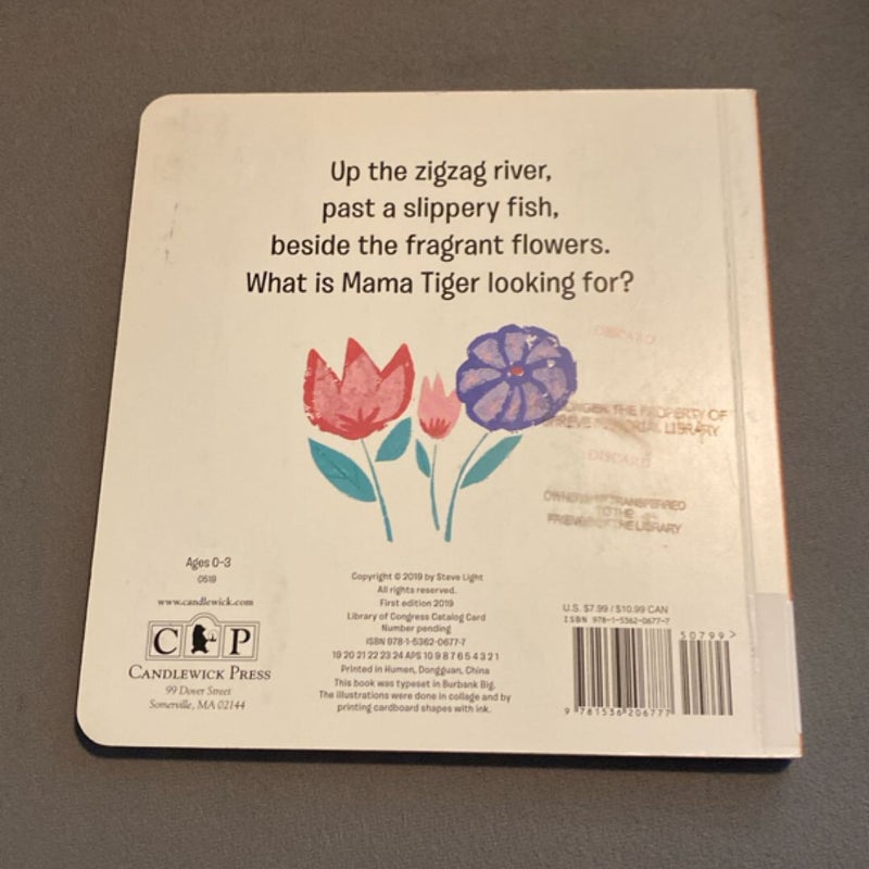 Mama Tiger, Tiger Cub