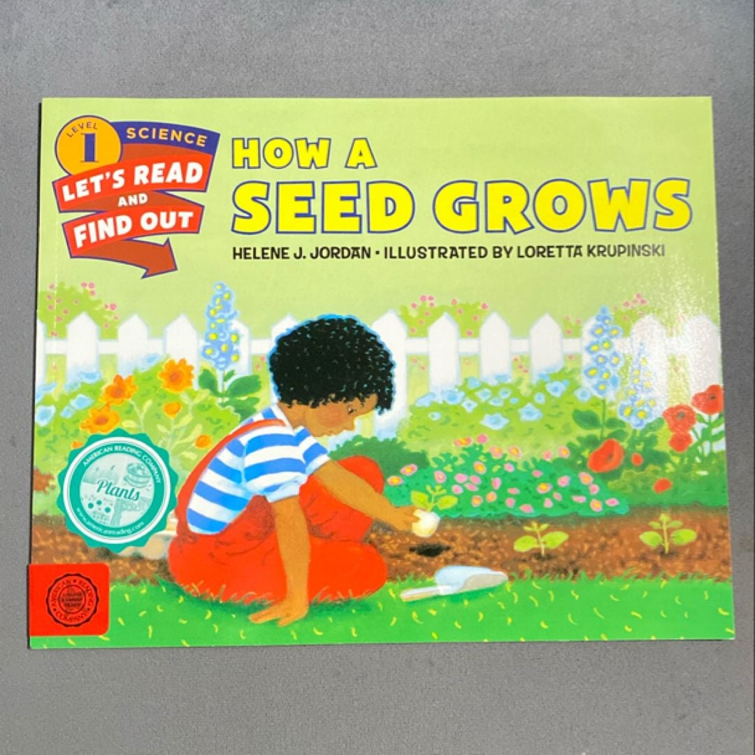 How a Seed Grows