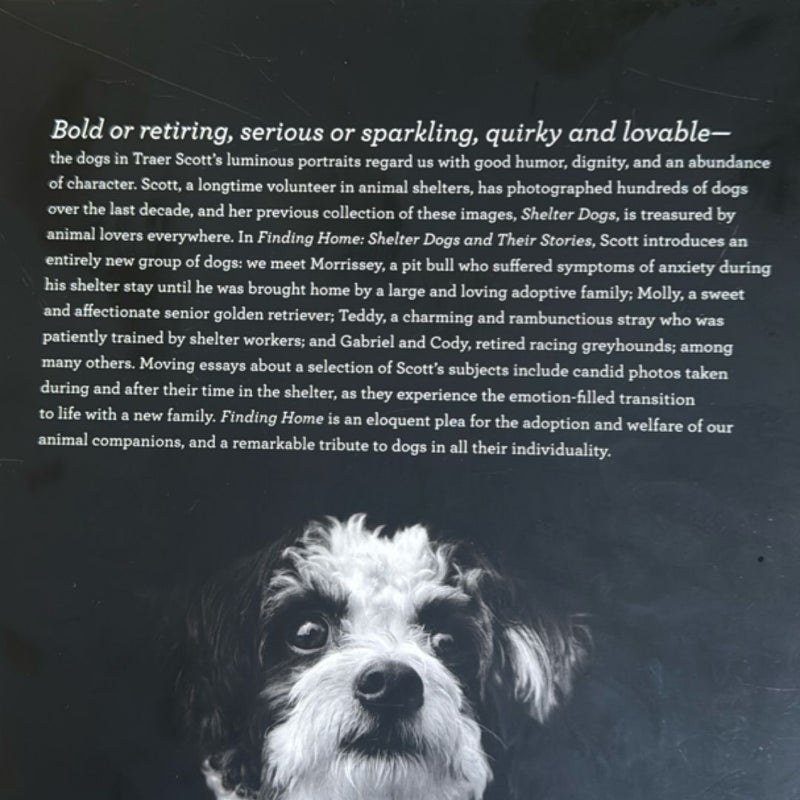 Finding Home: Shelter Dogs and Their Stories (a Photographic Tribute to Rescue Dogs)