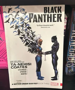 Black Panther: a Nation under Our Feet Book 3