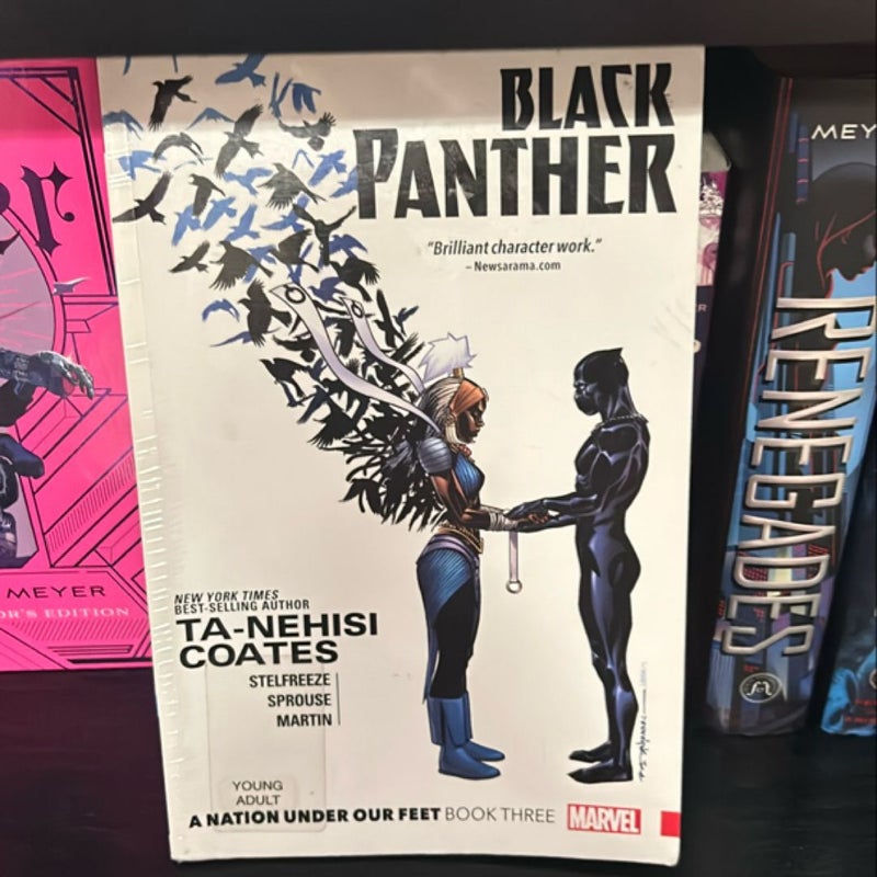 Black Panther: a Nation under Our Feet Book 3