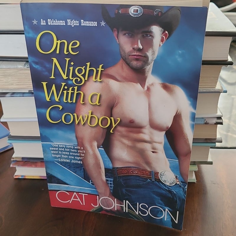 One Night with a Cowboy