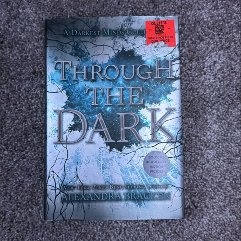 Through the Dark (a Darkest Minds Collection)