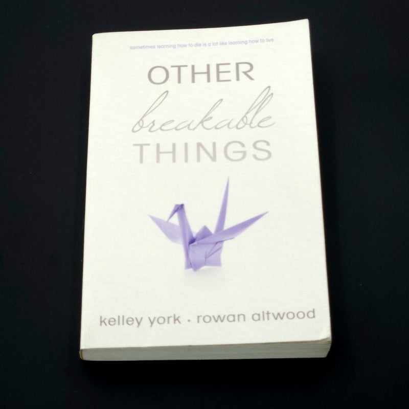 Other Breakable Things