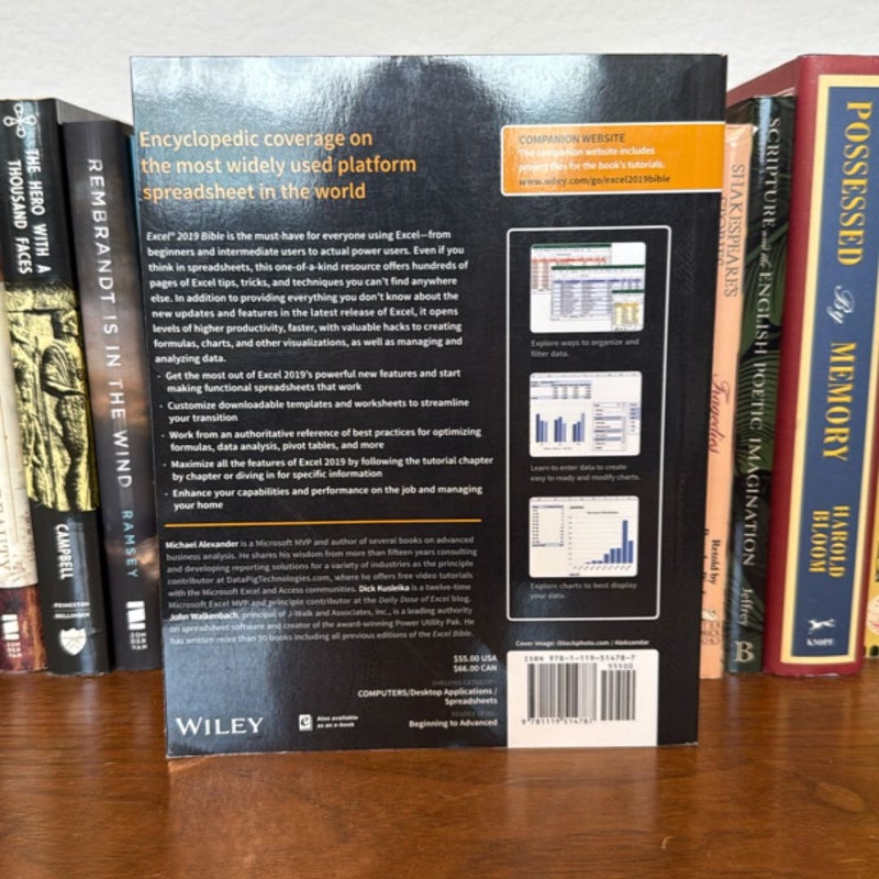 Excel 2019 Bible