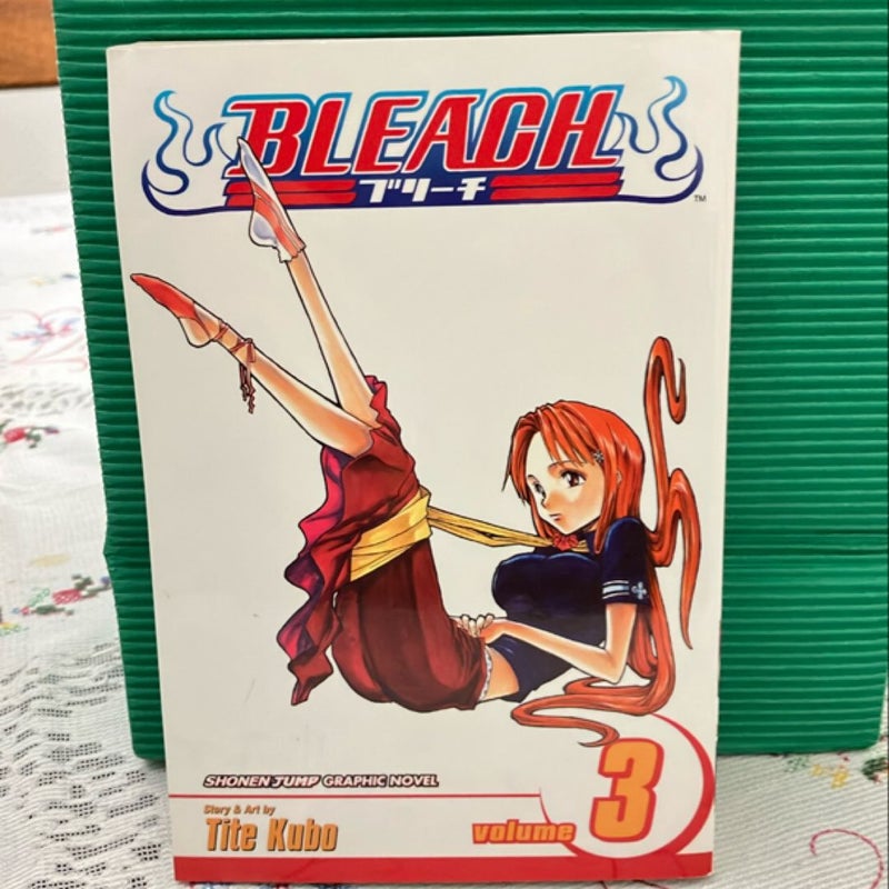 Bleach, Vol. 3