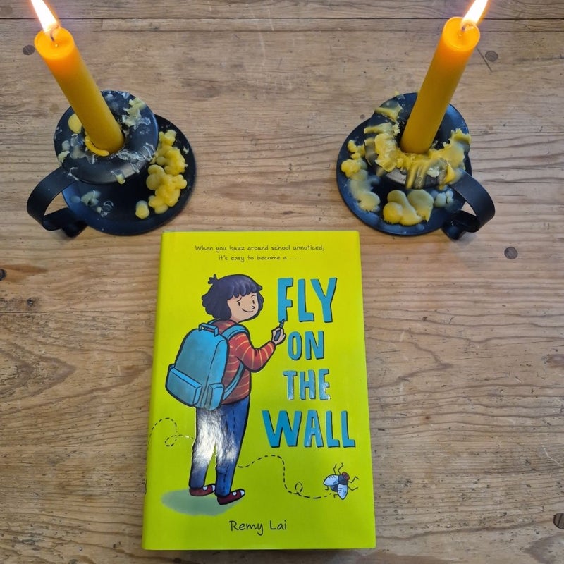 Fly on the Wall