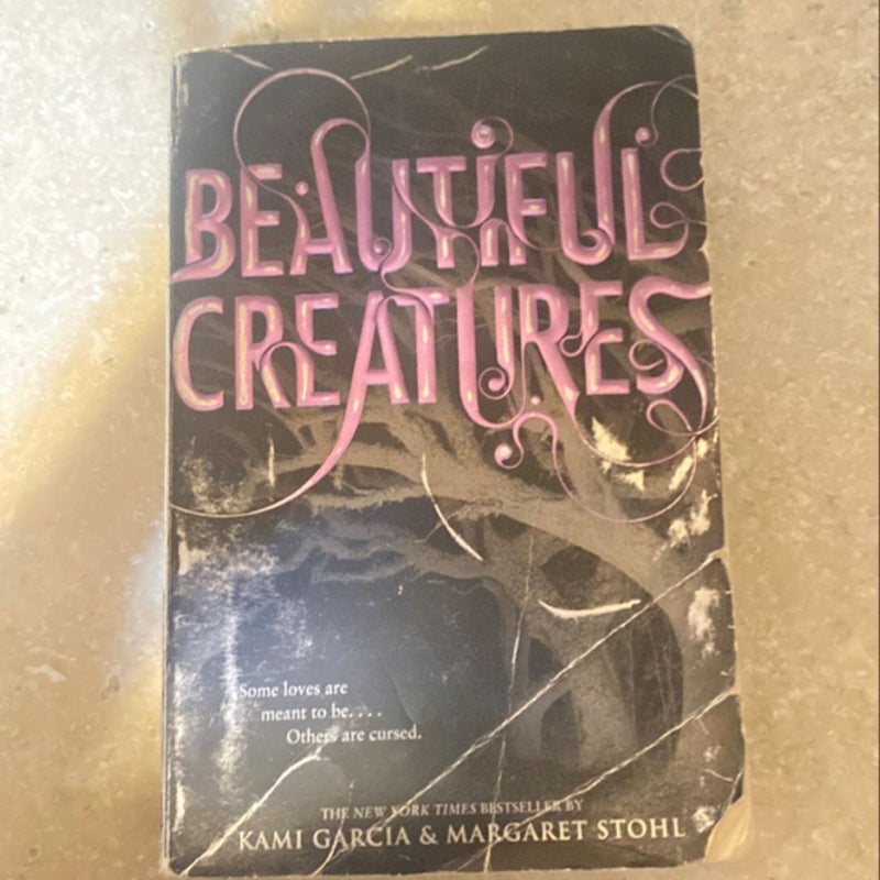 Beautiful Creatures 