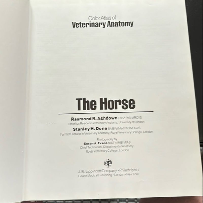 Veterinary Anatomy 