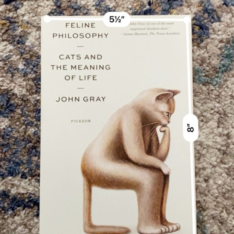 Feline Philosophy