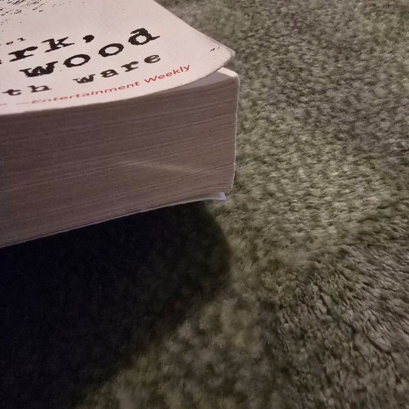 In a Dark, Dark Wood