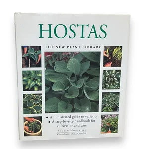 Hostas