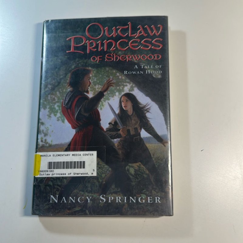 Outlaw Princess of Sherwood