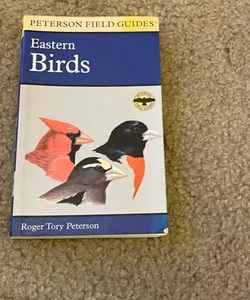 Eastern Birds