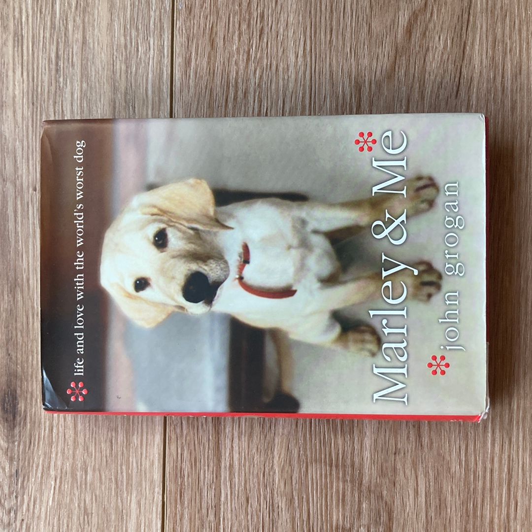 Sale image for af51060c-16ec-4ea4-9bf9-c97d2a349684-GezFdXNRBtSBHVzafyGfwK42m6B2