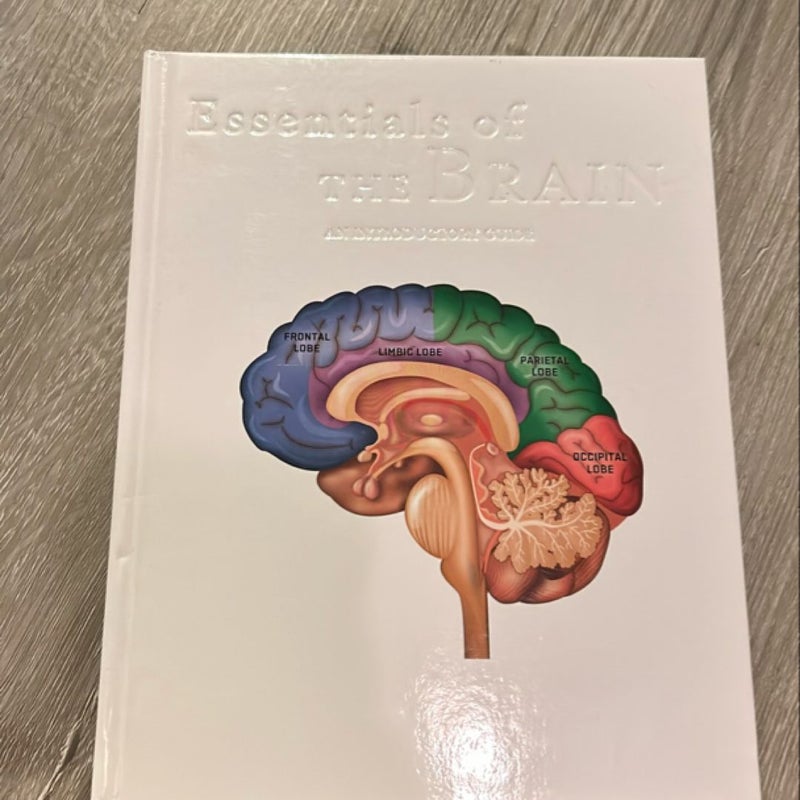 Essentials of the Brain