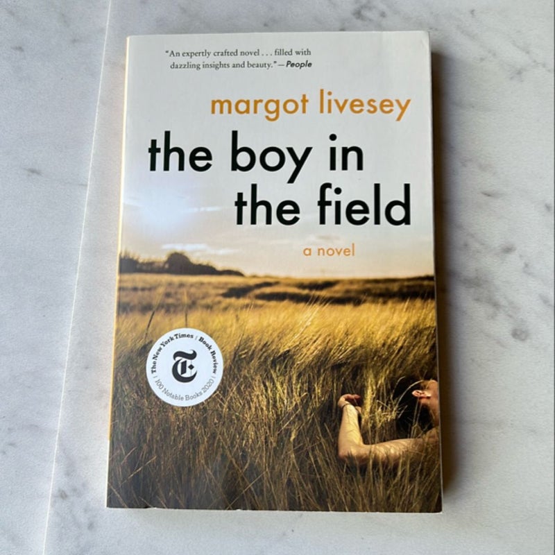 The Boy in the Field