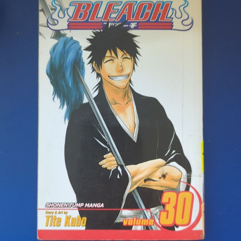 Bleach, Vol. 30