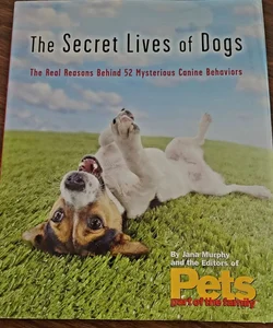The secret lives of Dogs