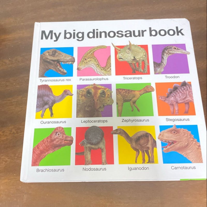 My Big Dinosaur Book