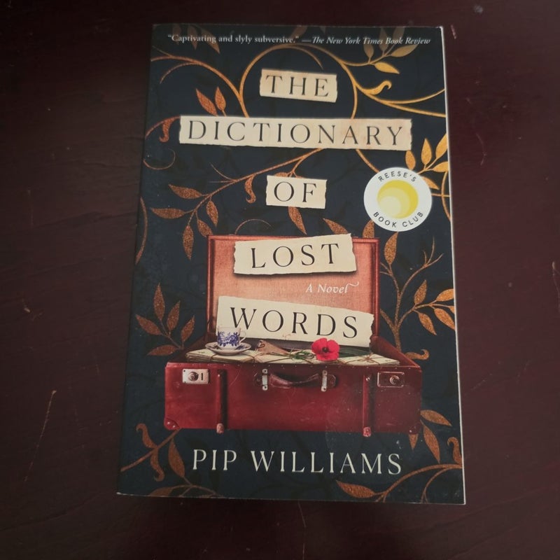 The Dictionary of Lost Words