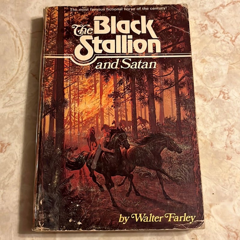 The Black Stallion bundle of 2 books 